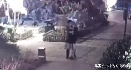 平遥吃瓜事件视频完整版,揭秘视频完整版背后的真相与争议