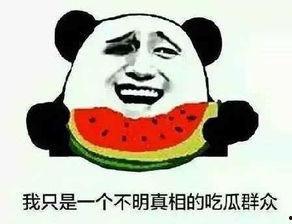 吃瓜群众要发言吗视频,揭秘“吃瓜群众要发言吗”视频背后的热议与思考