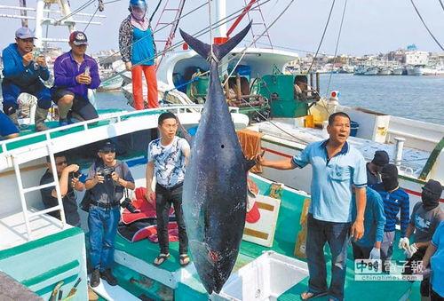 台北吃瓜渔民是谁啊视频,网络红人背后的故事