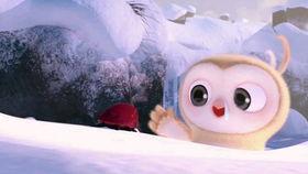 吃八阳瓜视频搞笑,笑料百出，八阳瓜带你领略欢乐时光