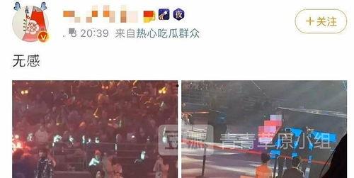 肖战和杨紫吃瓜视频大全,明星互动背后的趣味瞬间